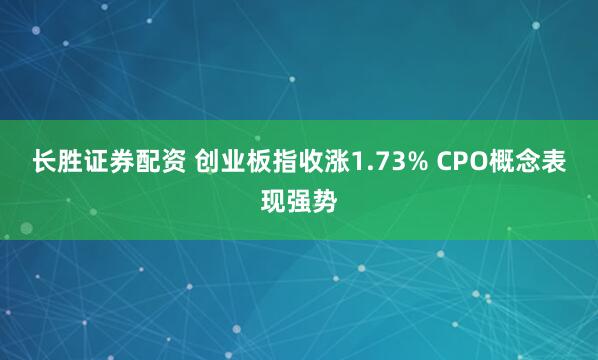 长胜证券配资 创业板指收涨1.73% CPO概念表现强势